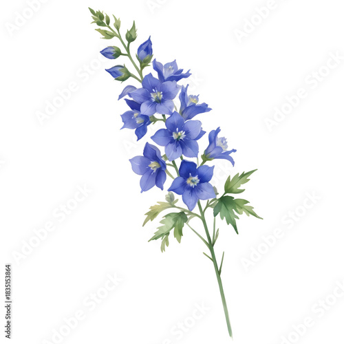 Delicate blue delphinium flower stem on a black background