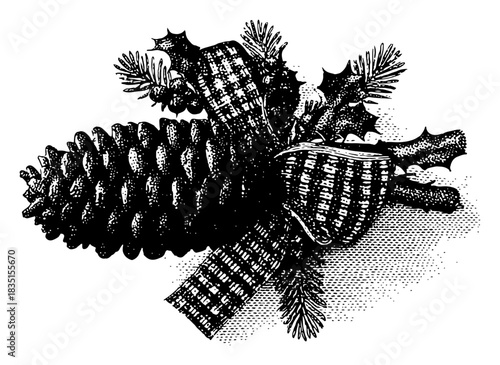 Christmas Pinecone Decoration with Ribbon and Holly Berries Hand Drawn Engraving Vector