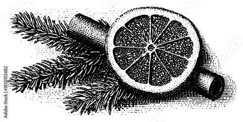 Christmas Dried Orange Slice and Cinnamon Stick with Pine Branch Hand Drawn Engraving Vector