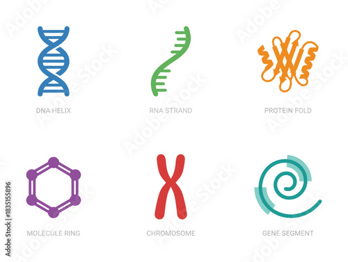 Molecular biology genetics icons. Dna helix rna strand protein fold. Molecule ring chromosome gene segment.