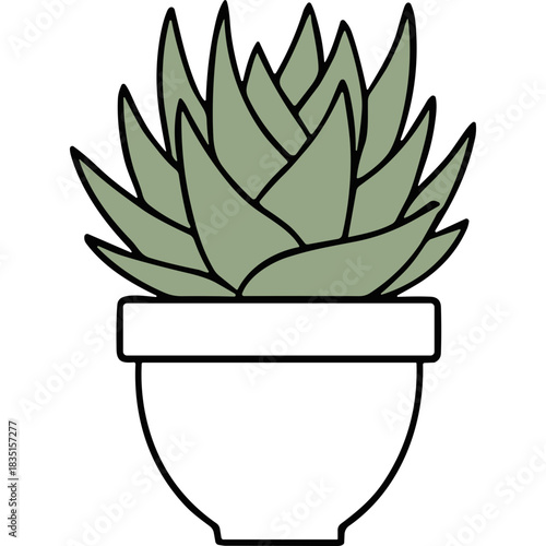Stylized Illustration of a Green Succulent Plant in a Black Pot Against a Transparent Background