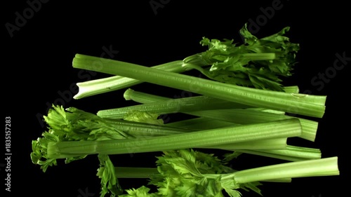 Fresh celery soars up on a black background. Filmed on a high-speed camera at 1000 fps. High quality FullHD footage