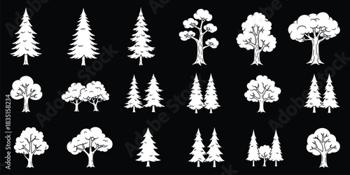 Monochrome Tree Silhouettes. Collection Silhouette Tree Images. Black and White Evergreen, Tree Shapes, Variety of Deciduous Tree Shapes, Isolated on Black Background.