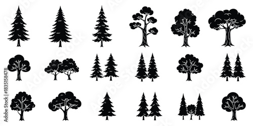 Tree Silhouettes with Black Tree Graphics Collection. Black and White Evergreen Deciduous Tree Images, Forest Background Isolated Transparent BG.