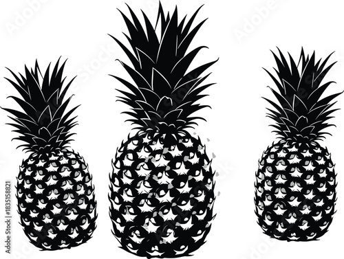 Black and white stylized pineapple vector illustration with tropical fruit texture, bold contrast, spiky crown, minimal design, and modern layout