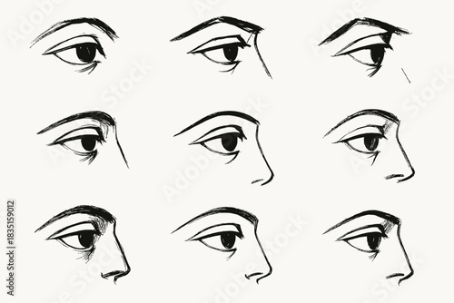A diagram that teaches how to correctly draw eyes and eyebrows in profile, depending on the angle of the head.