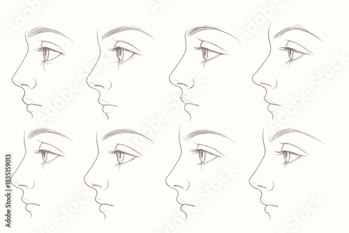 Illustration depicting eight pencil sketches of a woman's face in profile