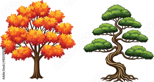 Autumn deciduous tree and stylized bonsai illustration contrasting seasonal nature with artistic cultivation on white background for vector design