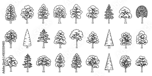 Stylized Tree Outline Collection: Hand-Drawn Minimalist Tree Silhouettes, Forest Plant Vector Set, Line Art Nature Designs, Black and White Botanical Elements.