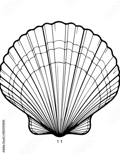 Japanese fan paper shell design object pattern folding decoration on black background