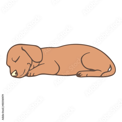 Illustration of a light brown dachshund puppy sleeping peacefully on its side with its eyes closed tight
