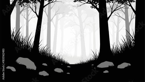 Dark silhouettes of trees grass and rocks in a mysterious forest.