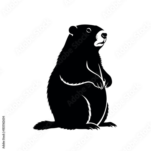 Groundhog Standing Silhouette Vector Illustration.