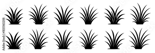 Silhouette grass clumps arranged in a clean minimal composition with sharp natural blades