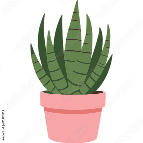 Stylized green succulent plant with striped leaves in a pink ceramic pot against a transparent background indoors