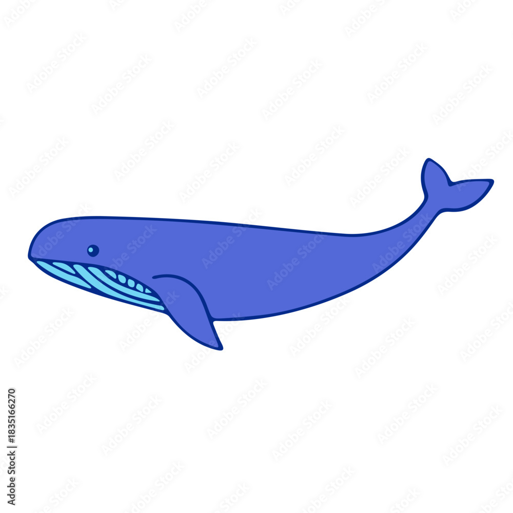 Obraz premium Illustration of a single blue whale with a visible eye and baleen plates swimming to the right