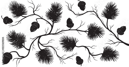 Black and white graphic of acorns and pine branches isolated design
