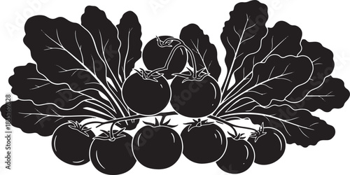 Black and white illustration of fresh tomatoes and leafy greens plants