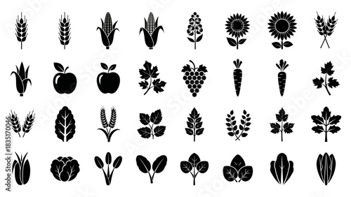 Collection of black silhouette agricultural crops and plants icons isolated on white background