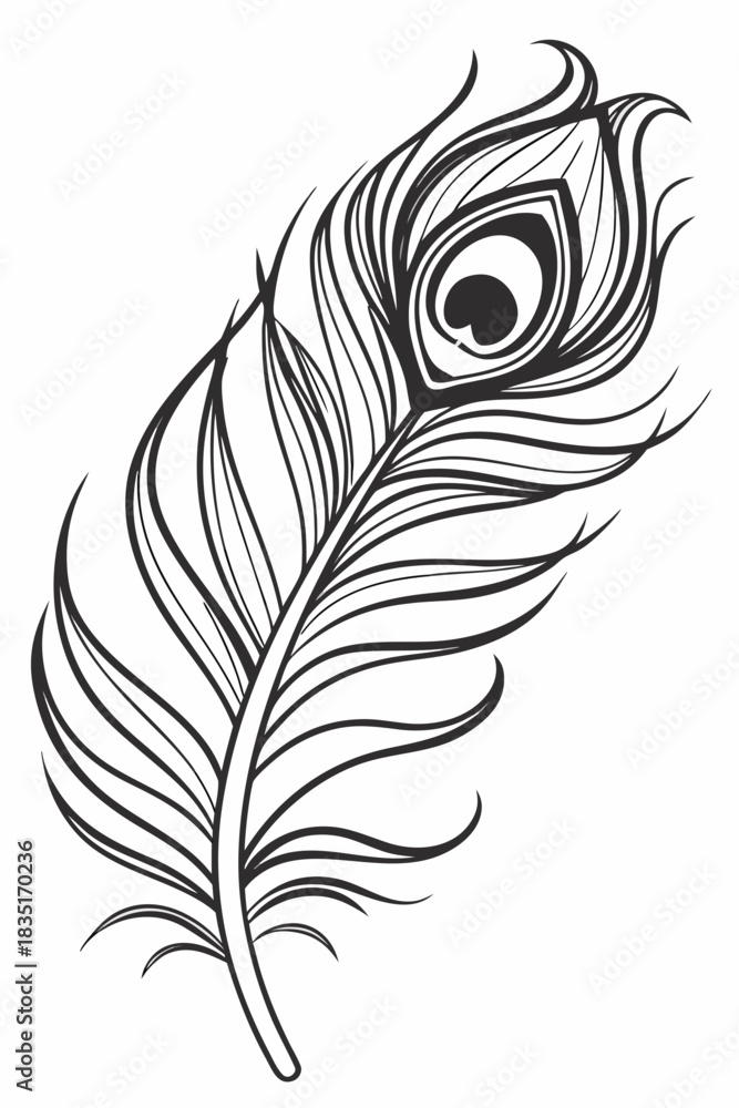 Obraz premium a black-and-white, highly stylized line art illustration of a single peacock feather.