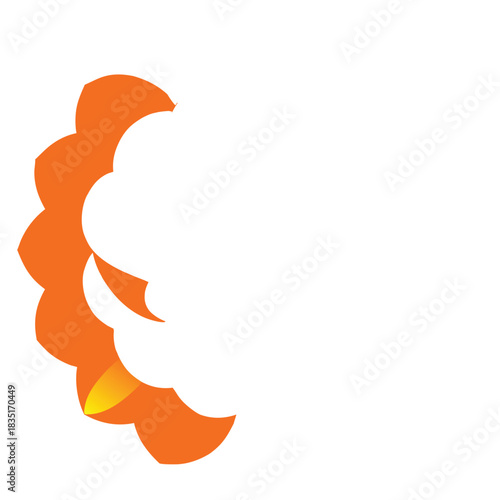 Detached marigold petals arranged in a spiral pattern