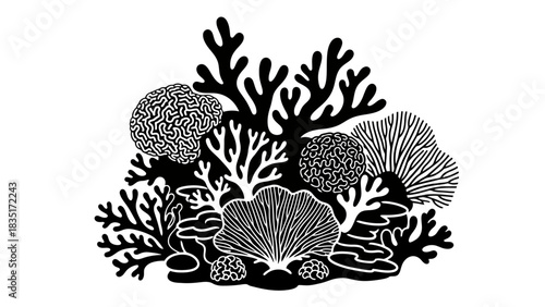 Elegant black and white coral reef illustration evokes marine life beauty and tranquility