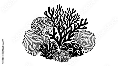 Monochrome coral reef illustration with unique brain coral concept design