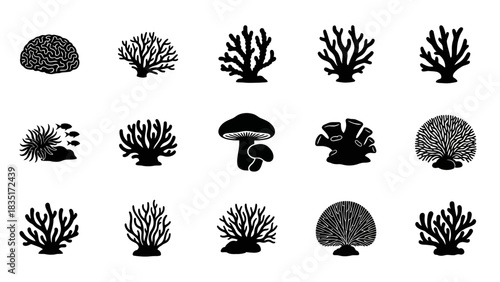 Diverse black and white coral collection in vector format for graphic design projects