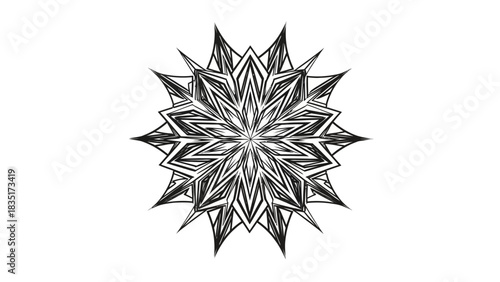 Intricate geometric mandala illustration on white background showcasing symmetry and sharp lines