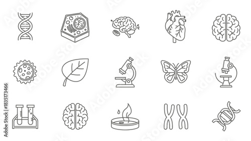 Scientific icons in outline style representing biology, anatomy and other sciences