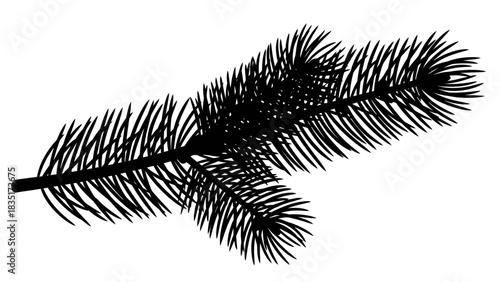 Silhouette of a Pine Branch: Evergreen Elegance and Festive Holiday Symbolism