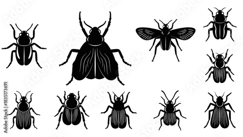 Silhouetted Insect Collection: Diverse Vector Illustration of Beetles and Bugs for Design