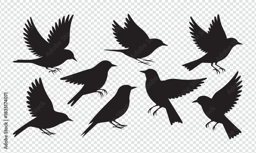 Obraz premium Collection of Bird Silhouettes in Various Poses – Flying and Perched Bird Vector Set