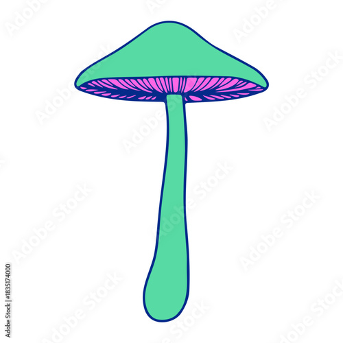 Illustration of a single green mushroom with a pink underside and a long stem on a white background