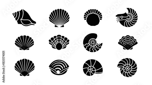 Elegant assortment of black seashell vector silhouettes illustrating marine life diversity