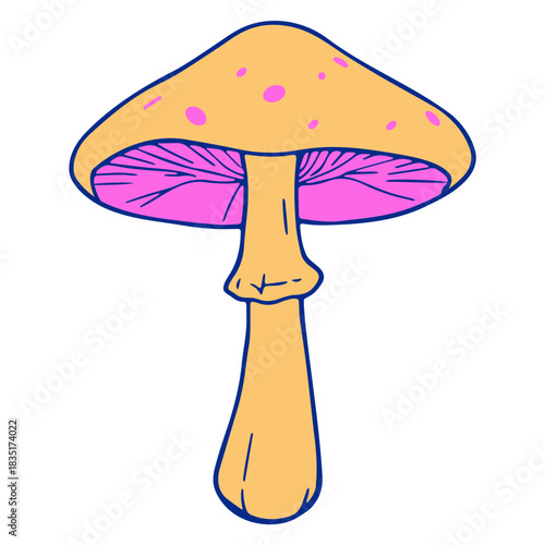 Illustration of a mushroom with a yellow cap and stem and pink gills on a white background