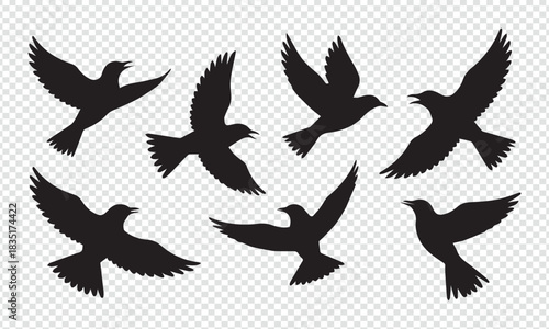 Collection of Bird Silhouettes in Various Poses – Flying and Perched Bird Vector Set