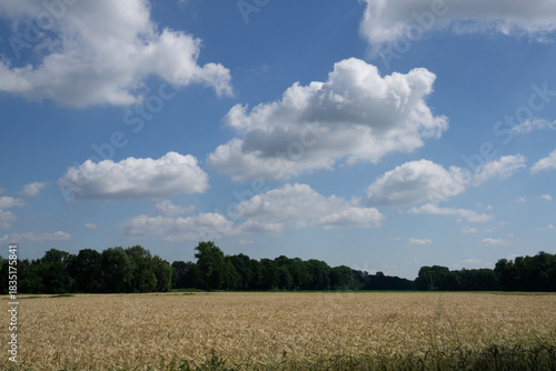 Region Teutoburger Wald