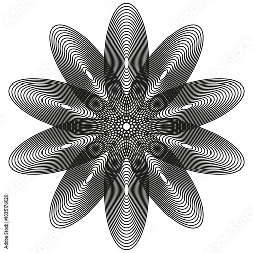 Guilloche flower pattern. Concentric oval design. Abstract rosette Vector. Clean white background.