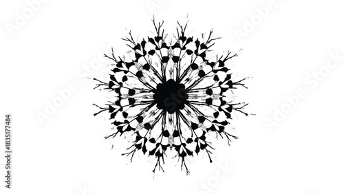 Intricate black dandelion seed head abstract pattern on white background