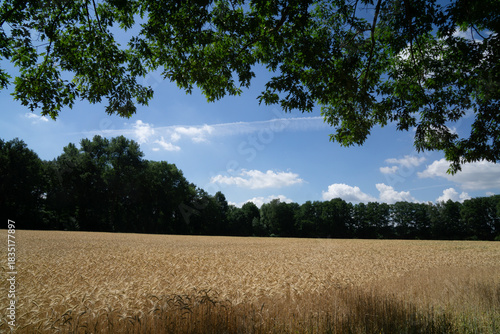 Region Teutoburger Wald