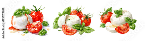Watercolor set of mozzarella cheese. Mozzarella balls with tomatoes and basil. Ingredients for Italian cuisine, caprese salad etc. Vector illustration.