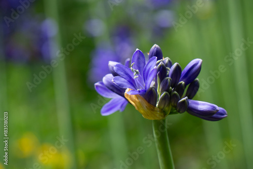 Region Teutoburger Wald