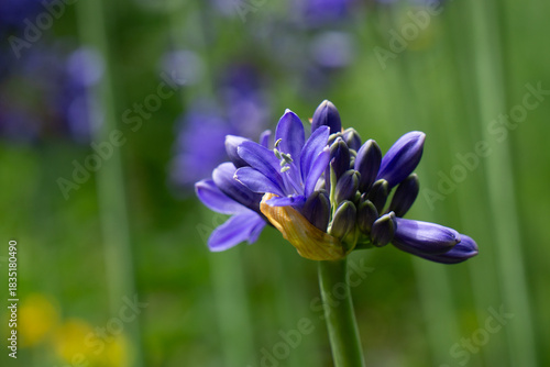 Region Teutoburger Wald