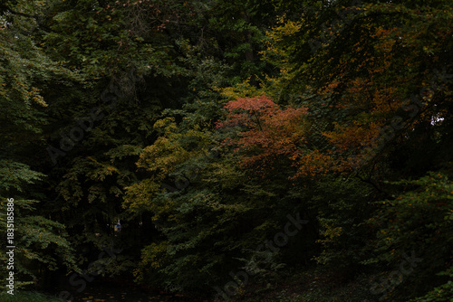 Region Teutoburger Wald