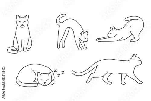 Cat outline set with sitting, stretching, sleeping, walking pose isolated on white background