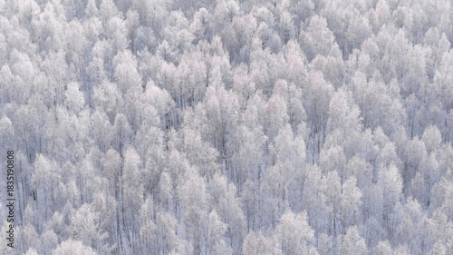 Snowy Scenery of the Greater Khingan Mountains