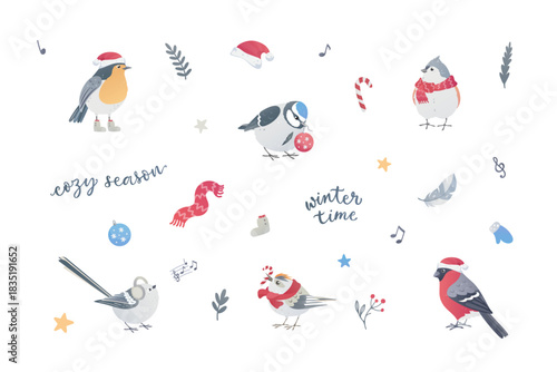 Festive birds and winter accessories set. Bullfinch, robin, titmouse, chickadee, kinglet in scarf. Santa hat, candy cane, rowan berries, winter boots and mittens. Christmas items for design.