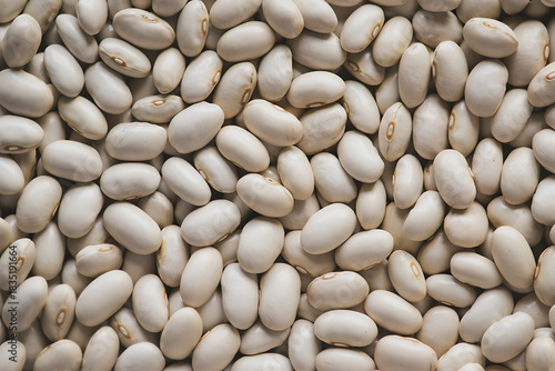 Closeup full frame view of many dried white beans, likely cannellini or navy beans, scattered evenly