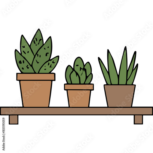 Three Green Potted Succulent Plants Lined Up On A Wooden Shelf Against A Black Background Simple Illustration Style